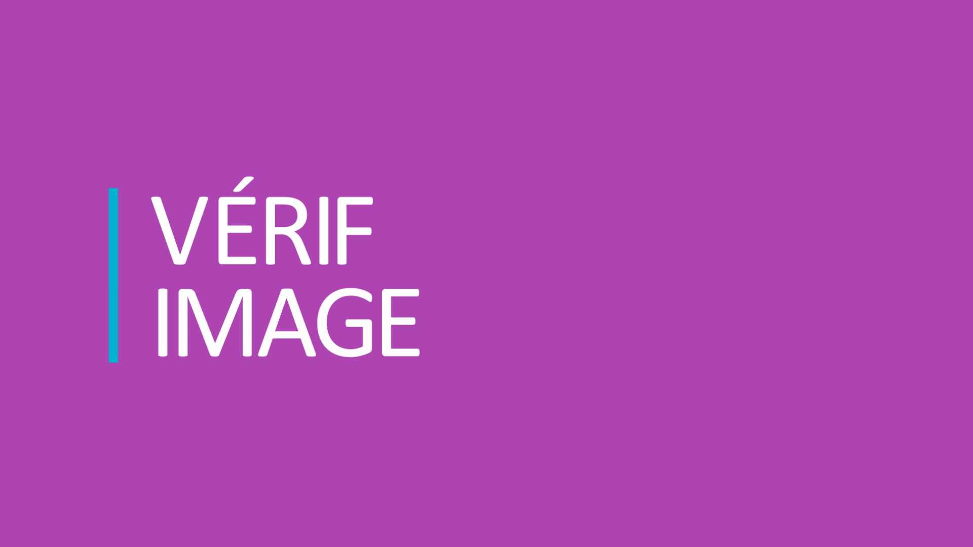 French Verify